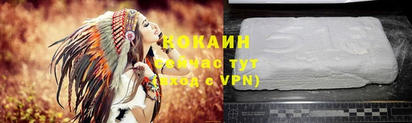 PSILOCYBIN Абаза