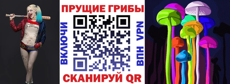 сколько стоит Ильский Псилоцибиновые грибы мицелий